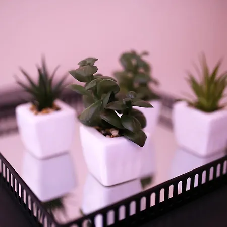 Shabby Chic Apartman *